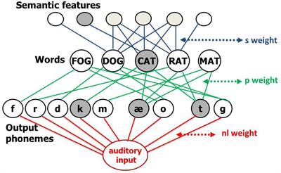 Maintenance Versus Transmission Deficits: The Effect of Delay on Naming Performance in Aphasia